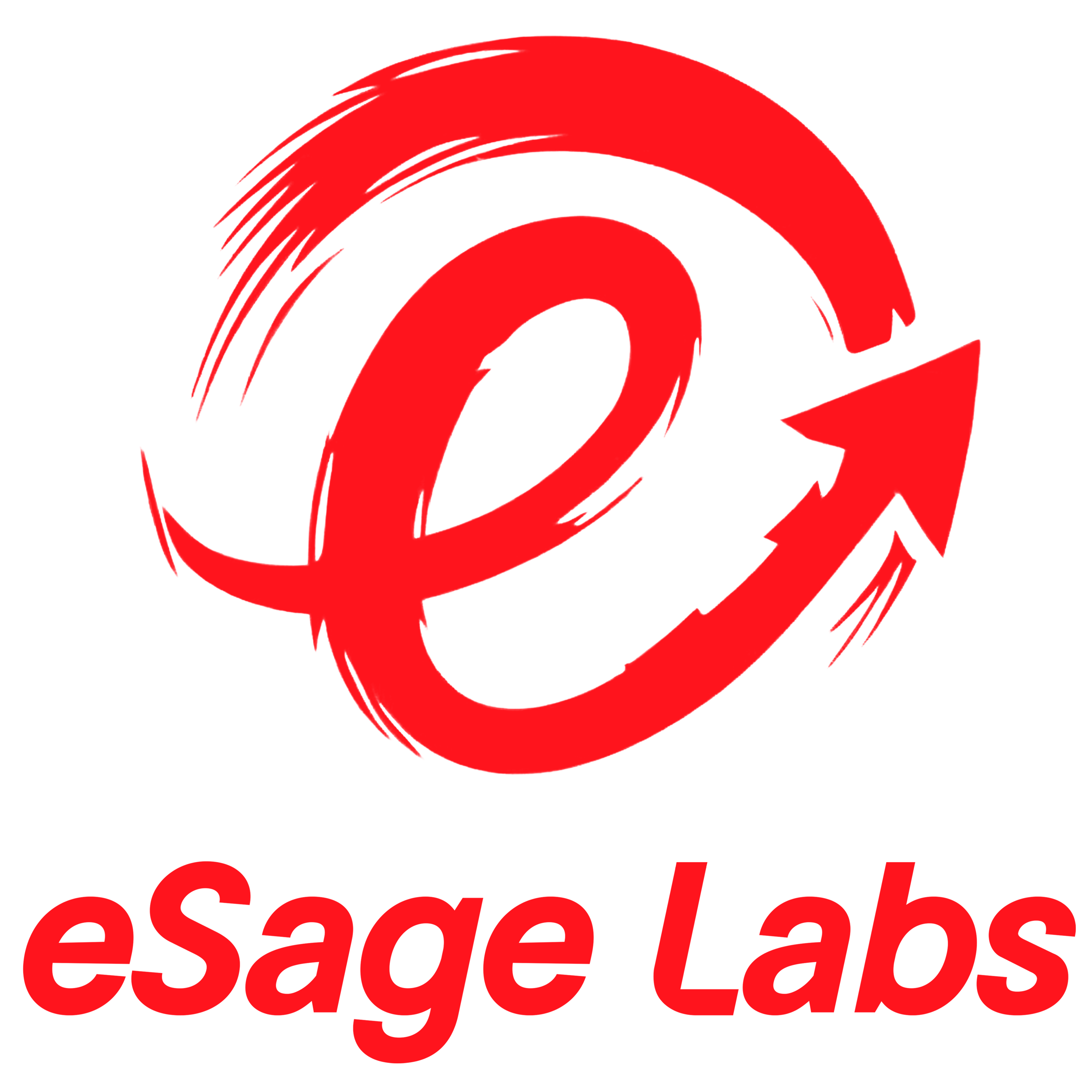 eSage Labs Logo